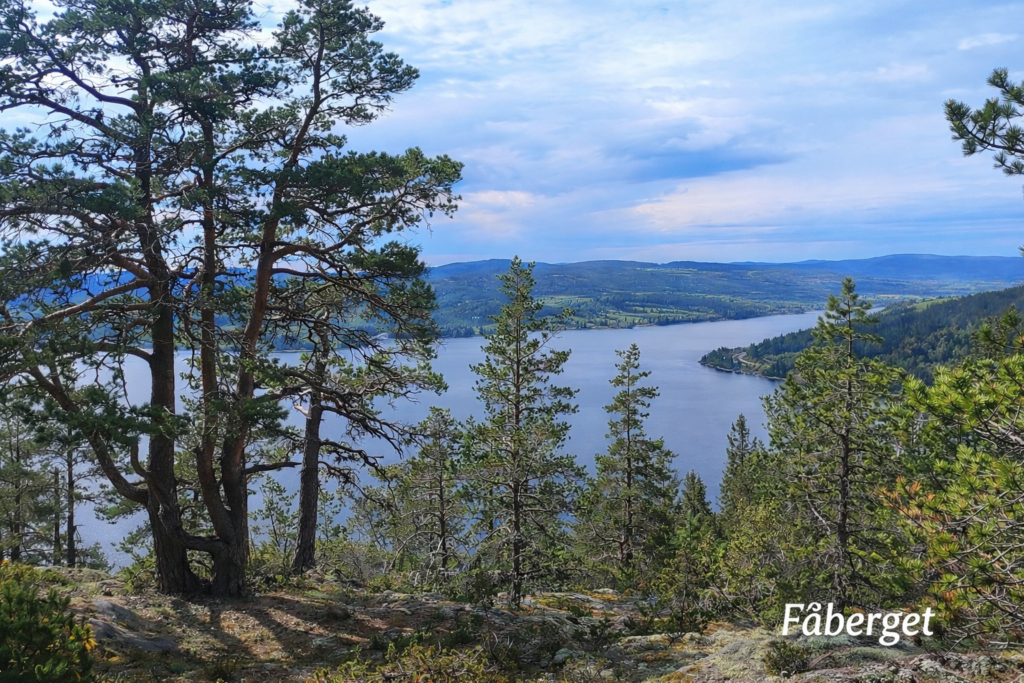 Fäberget 52 km